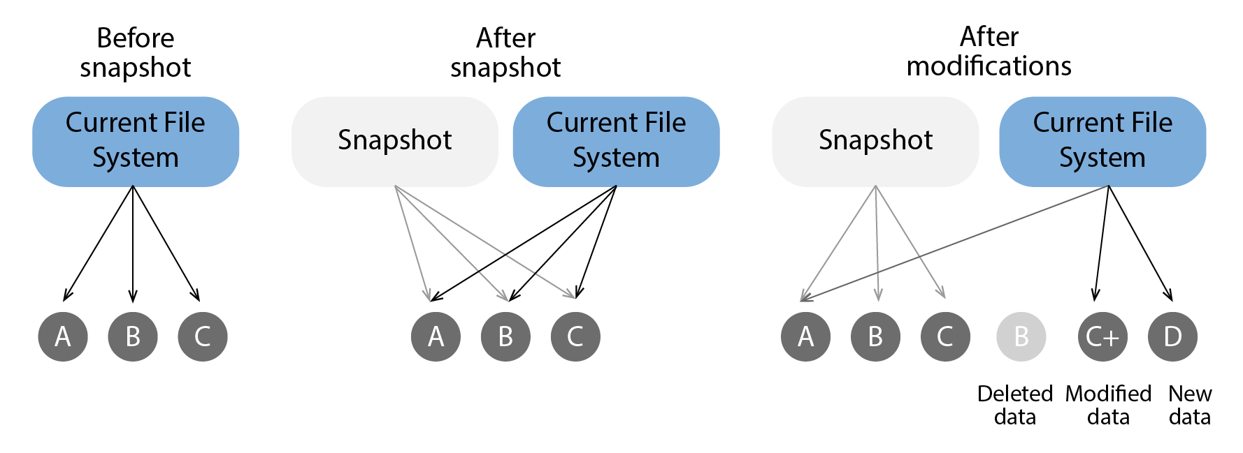 Generation of snapshots by P5 Synchronize to retain file system information